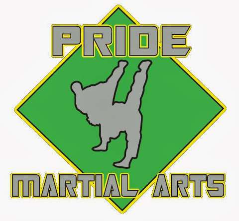 Jobs in Pride Martial Arts Academy - reviews